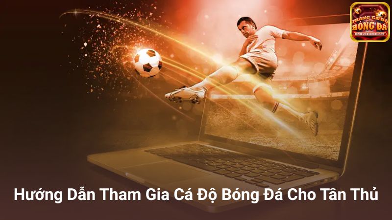 Hướng dẫn chọn trang cá độ bóng đá cho người mới