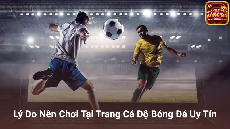 Lợi ích khi chọn đúng trang cá độ bóng đá